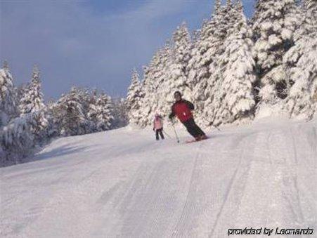 The Inn At Mount Snow West Dover Facilities photo